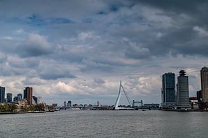 ROTTERDAM : Skyline Rotterdam