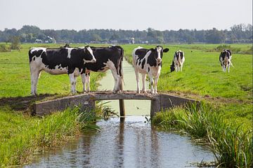 Koeien op een bruggetje van Peter de Kievith Fotografie