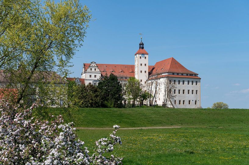 Pretzsch schloss by Richard Wareham