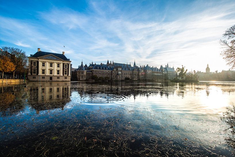 Binnenhof The Hague by Brian Morgan