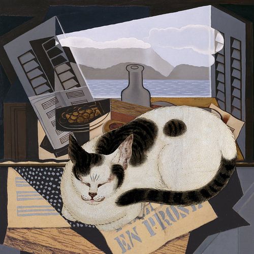 Cat Nap