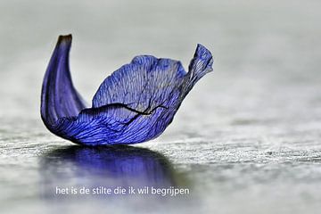 Anemonenblaadje van Bargo Kunst