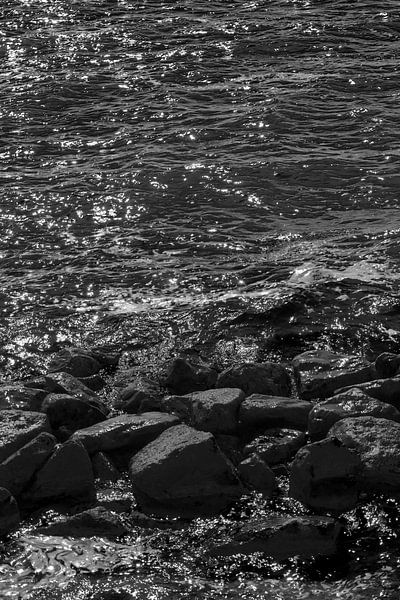 De elementen van Hans Lok