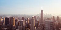 New York Panorama VI by Jesse Kraal thumbnail