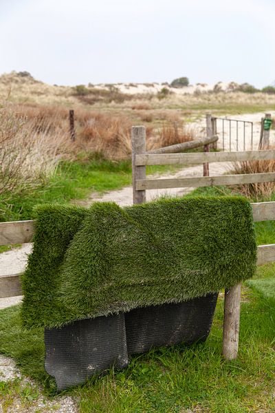 Tapis d'herbe dans les dunes sur Ameland par Tot Kijk Fotografie: natuur aan de muur