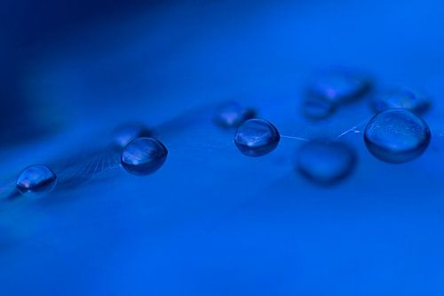 Flüssiges Blau (Tropfen in kobaltblauer Farbe)