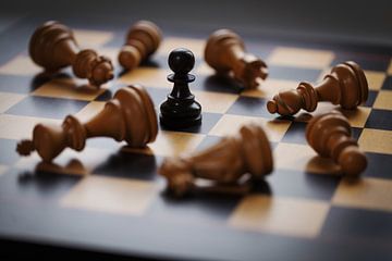 Een schaakspel van Rainer Zapka