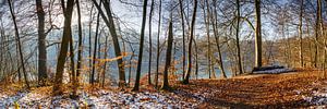 Winterbos aan het meer van Werner Reins