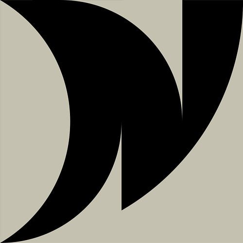 Zwarte Abstracte Geometrische Vormen nr. 2