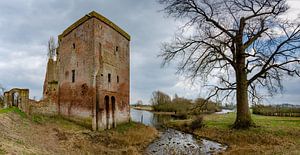 Ruins Nijendijk