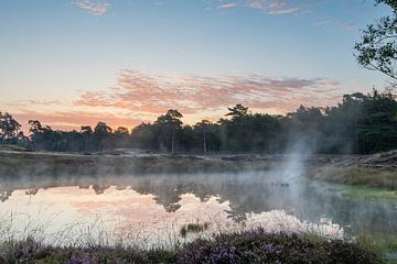 magische zonsopkomst bij de bosvijver op landgoed Heidestein van Peter Haastrecht, van