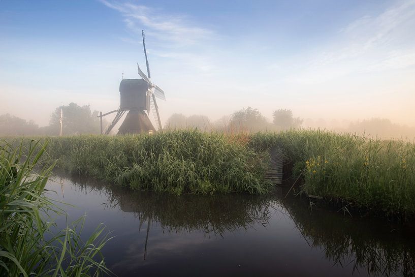 Illumination by Roelie Steinmann