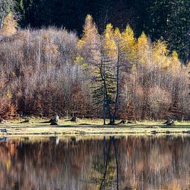 Autumn colours in the mirror of silence by Walter G. Allgöwer