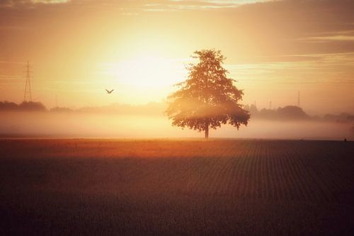 Flight into eternity