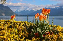 Swiss Riviera by Ilse de Deugd