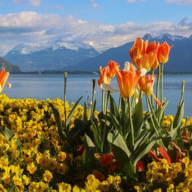 Swiss Riviera by Ilse de Deugd