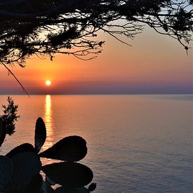 Sonnenaufgang auf Sardinien von Heidi Pype