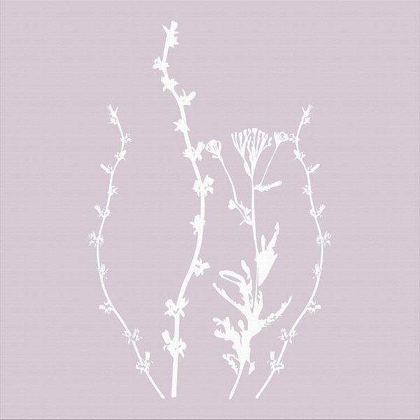 Botanica Delicata. Abstract Retro Botanical in Silver Mauve pink by Dina Dankers