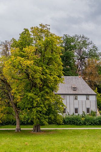 Welkom in het Ilmpark in de klassieke stad Weimar