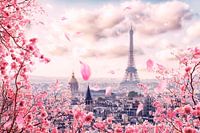 Paris en rose
