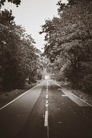 Herbstliche Straße in B&W