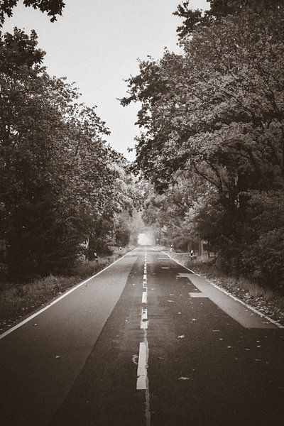 Herbstliche Straße in B&amp;W von Kelly Kutterik Photography