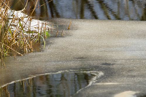 fossé au repos