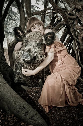 Ophelia 4, stefan witte