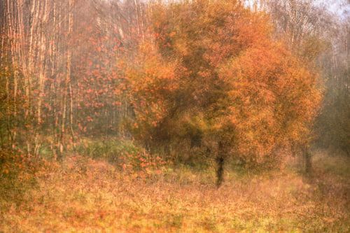 Kwintelooijen part 17