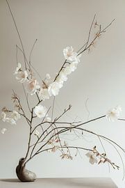 Minimalistische Stilllebenfotografie im Japandi-Stil