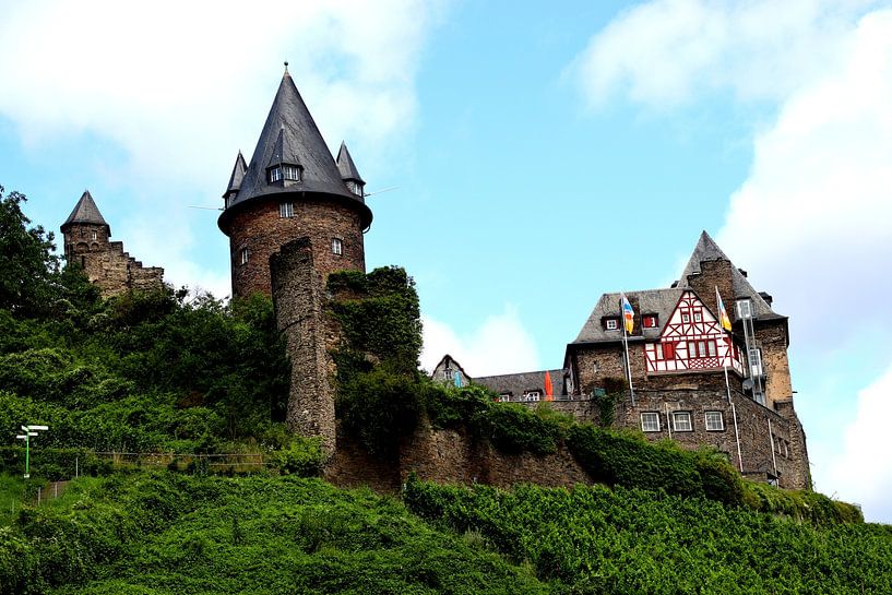 The castle of Bacharach by Paul Emons