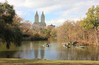 The Eldorado gezien vanaf Central Park New York City van Elisa Koot thumbnail