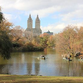 The Eldorado gezien vanaf Central Park New York City van Elisa Koot