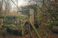- primeval - by Anne-Kathrin Knappe thumbnail