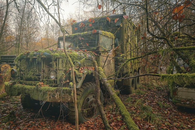 - primeval - by Anne-Kathrin Knappe