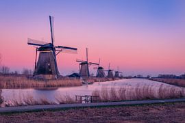 Kinderdijk van Carla Matthee