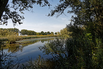Biesbosch-Südhafen
