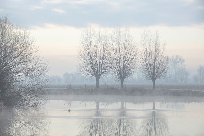 Landscape 'Lithse Bos by Willy Sengers