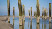 Palmendorf am Meer
