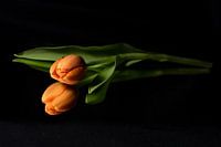 Mooi Oranje is niet lelijk!