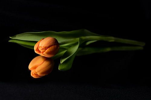 Beautiful Orange isn't ugly!