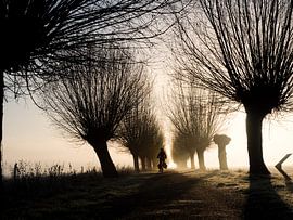 The lone rider (color)