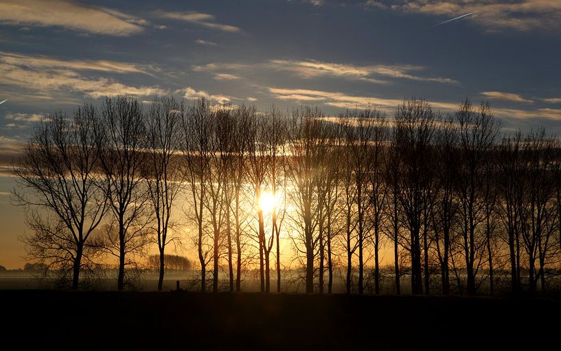 KONINKLIJKE MAATSCHAP von Sybrand Treffers