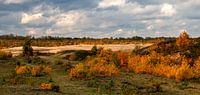 automne