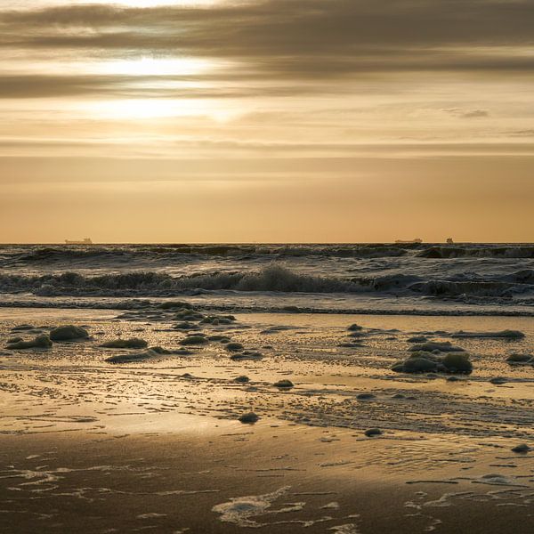 Zonsondergang Noordzeekust Zeekust Nederland Goudblauw Donker 1x1 van Martijn Jebbink Fotografie
