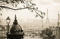 Schönes Paris von Arja Schrijver Fotografie Miniaturansicht