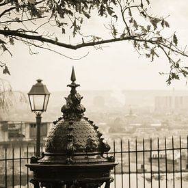 Prachtig Parijs van Arja Schrijver Fotografie