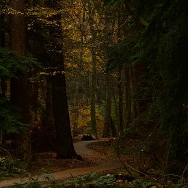 La route est plus importante que la destination sur Leontien van der Linden - Wapenaar