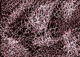 written structures in brown and white by Claudia Gründler