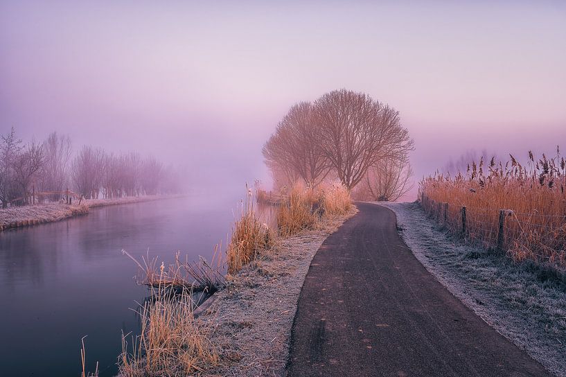 Beim Radfahren im Dove Polder in den Nebel fahren von Leon Okkenburg